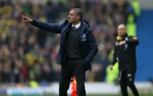 Norwich City 03APR15 Prints: Chris Hughton Focused: Brighton and Hove Albion vs Norwich City