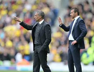 Watford 25APR15 Prints: Chris Hughton: Focused Leadership at Brighton and Hove Albion vs. Watford (25APR15)