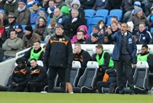 Images Dated 14th March 2015: Chris Hughton Guides Brighton and Hove Albion vs. Wolverhampton Wanderers, March 2015