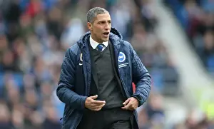Birmingham City 21FEB15 Prints: Chris Hughton Leads Brighton and Hove Albion Against Birmingham City, 21 February 2015
