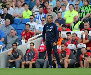 Prints of Chris Hughton during the pre-season friendly match between Brighton and Hove Albion and Sevilla FC at the American Express Community Stadium, Falmer, England on 2nd August 2015 Pre-Season Prints: Chris Hughton Leads Brighton & Hove Albion Against Sevilla FC in Pre-Season Friendly (02)