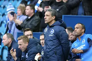 Sheffield Wednesday 14FEB15 Prints: Chris Hughton Leads Brighton and Hove Albion in Sheffield Wednesday Clash