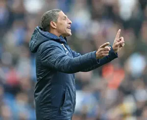 Wolverhampton Wanderers 14MAR15 Prints: Chris Hughton Leads Brighton and Hove Albion Against Wolverhampton Wanderers, March 2015