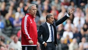Images Dated 15th August 2015: Chris Hughton vs. Kit Symons: Battle of the Managers - Fulham vs