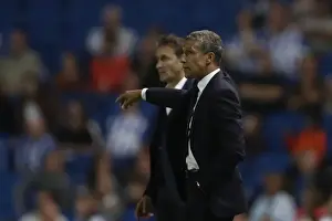 Nottingham Forest 12AUG16 Prints: Chris Hughton vs. Philippe Montanier: Clash of Managers in Brighton and Hove Albion vs