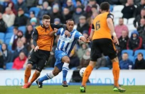 Images Dated 14th March 2015: Chris O'Grady in Action: Brighton and Hove Albion vs. Wolverhampton Wanderers