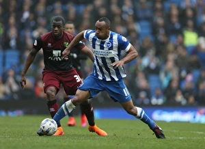 Norwich City 03APR15 Prints: Chris O'Grady in Action: Brighton & Hove Albion vs