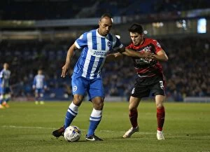 Images Dated 14th April 2015: Chris O'Grady in Action: Brighton & Hove Albion vs Huddersfield Town