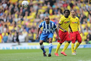 Watford 25APR15 Prints: Chris O'Grady in Action: Brighton & Hove Albion vs