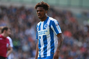 Chuba Akpom in Action: Brighton & Hove Albion vs. Blackburn Rovers, EFL Sky Bet Championship (01APR17)
