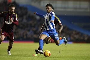 Images Dated 14th February 2017: Chuba Akpom (Brighton & Hove Albion) in Action Against Ipswich Town, EFL Sky Bet Championship 2017