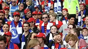 Clash at the Amex: Brighton & Hove Albion vs Southampton (21 May 2023)
