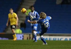 Craig Mackail-Smith in Action: Brighton & Hove Albion vs Wigan Athletic, American Express Community Stadium, November 2014