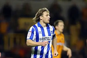 Wolves - 10-11-2012 Prints: Craig Mackail-Smith Fights for Brighton in Intense Championship Clash vs