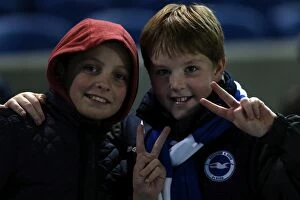 Images Dated 27th November 2012: Crowd Shots at the Amex 2012-13