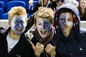 Crowd shots at the Amex - 2013-14 Collection: Crowd shots at the Amex - 2013-14