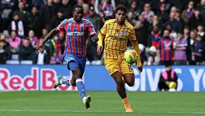 Crystal Palace 09NOV25 Prints: Crystal Palace v Brighton and Hove Albion
Premier League
09NOV25