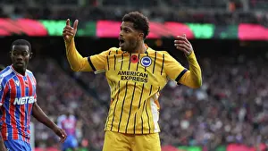 Crystal Palace 09NOV25 Prints: Crystal Palace v Brighton and Hove Albion
Premier League
09NOV25