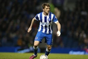 Images Dated 14th April 2015: Dale Stephens: In Action for Brighton and Hove Albion vs. Huddersfield Town AFC
