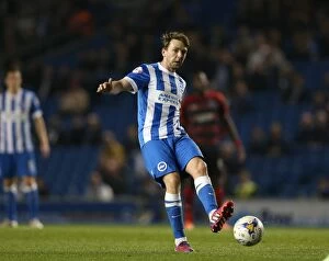 Images Dated 14th April 2015: Dale Stephens in Action: Brighton and Hove Albion vs. Huddersfield Town AFC, Sky Bet Championship
