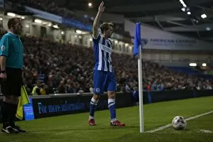Images Dated 14th April 2015: Dale Stephens in Action: Brighton and Hove Albion vs Huddersfield Town AFC, Sky Bet Championship