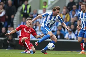 Bristol City 29APR17 Prints: Dale Stephens: Central Midfield Battle in Brighton & Hove Albion vs