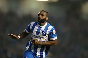 Fulham 29NOV14 Prints: Darren Bent Scores on Brighton Debut: Brighton and Hove Albion vs