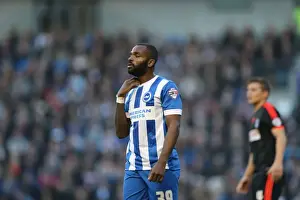 Fulham 29NOV14 Prints: Darren Bent Scores: Brighton & Hove Albion vs Fulham Championship Clash (29NOV14)