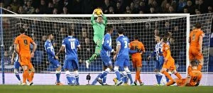 Images Dated 21st January 2015: David Stockdale in Action: Brighton & Hove Albion vs Ipswich Town Championship Clash, January 2015