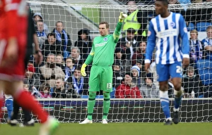 Nottingham Forest 07FEB15 Prints: David Stockdale in Action: Brighton and Hove Albion vs