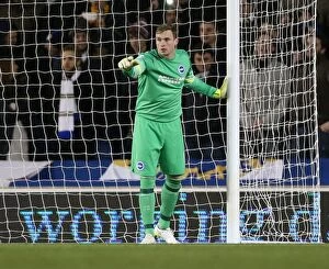 Images Dated 24th February 2015: David Stockdale in Action: Brighton and Hove Albion vs Leeds United, 2015
