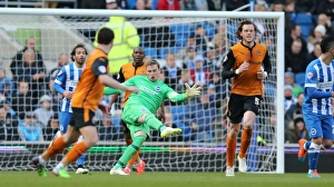 Wolverhampton Wanderers 14MAR15 Prints: David Stockdale in Action: Brighton & Hove Albion vs. Wolverhampton Wanderers (14MAR15)
