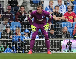 Watford 25APR15 Prints: David Stockdale in Action: Brighton and Hove Albion vs