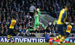 Arsenal 25JAN15 Prints: David Stockdale in Action: Brighton and Hove Albion vs Arsenal FA Cup Clash, January 2015