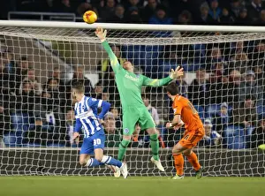 David Stockdale in Action: Brighton and Hove Albion vs Ipswich Town, Sky Bet Championship, American Express Community Stadium, January 2015