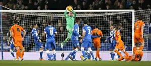 David Stockdale in Action: Brighton & Hove Albion vs Ipswich Town Championship Clash, January 2015