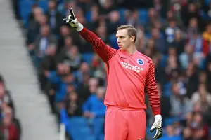 Norwich City 29OCT16 Prints: David Stockdale in Action: Brighton & Hove Albion vs Norwich City