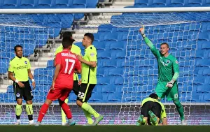 David Stockdale in Action: Brighton & Hove Albion vs Sevilla FC, 2015 Pre-Season Friendly