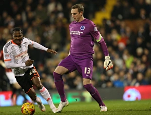 Fulham 29DEC14 Prints: David Stockdale in Action: Fulham vs. Brighton & Hove Albion, Craven Cottage (29DEC14)