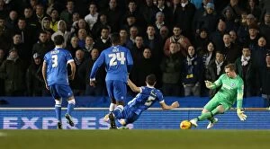 Images Dated 24th February 2015: David Stockdale: In Action Against Leeds United, 2015 (Brighton and Hove Albion vs Leeds United)