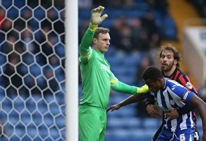 Images Dated 14th February 2015: David Stockdale in Action: Sheffield Wednesday vs. Brighton and Hove Albion