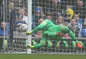 Norwich City 03APR15 Prints: David Stockdale: Brighton's Unyielding Guardian vs Norwich City (April 3, 2015)