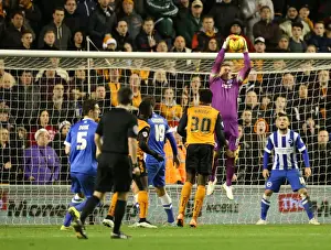 Wolverhampton Wanderers 20DEC14 Prints: David Stockdale Faces Off Against Wolves: Wolverhampton Wanderers vs Brighton and Hove Albion