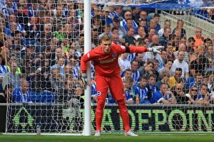 Images Dated 12th September 2015: David Stockdale Focused: Brighton and Hove Albion vs Hull City, Sky Bet Championship 2015