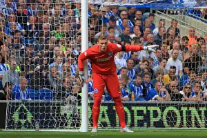 Hull City 12SEP15 Prints: David Stockdale Focused: Brighton and Hove Albion vs Hull City, Sky Bet Championship 2015