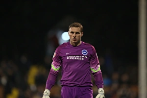 Fulham 29DEC14 Prints: David Stockdale Focused: Fulham vs. Brighton and Hove Albion, Craven Cottage, 2014