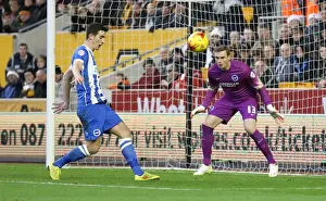 David Stockdale Focused: Wolverhampton Wanderers vs. Brighton and Hove Albion, Sky Bet Championship, Molineux, 2014