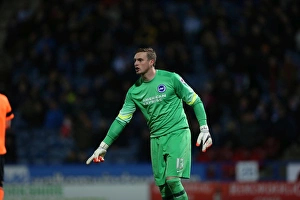 Huddersfield Town 21OCT14 Prints: David Stockdale Focuses in Huddersfield vs. Brighton Championship Clash (21OCT14)