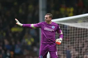 Norwich City 22NOV14 Prints: David Stockdale: Intense Concentration at Carrow Road - Norwich City vs