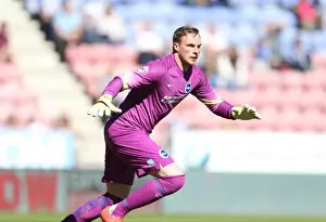 Wigan Athletic 18APR15 Prints: David Stockdale: Saving the Day for Brighton and Hove Albion vs